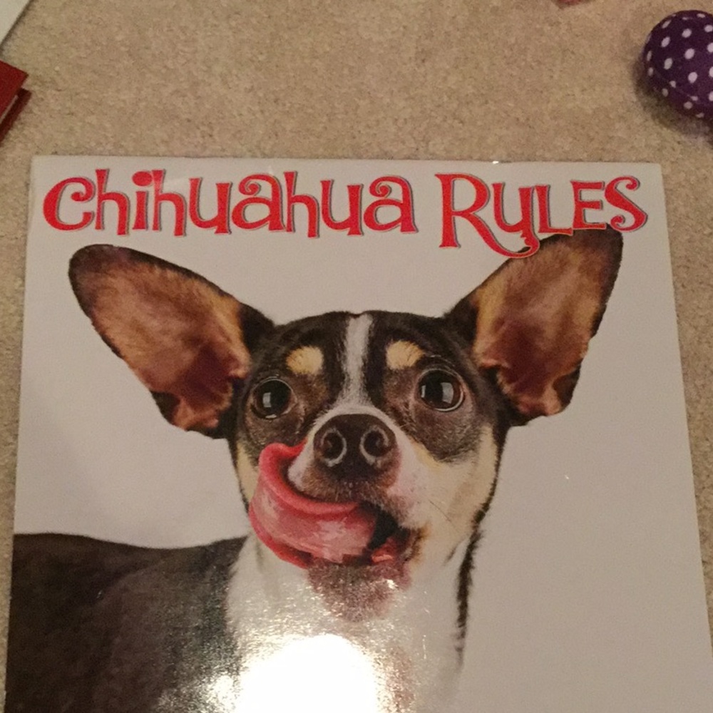 chihuahua calendar